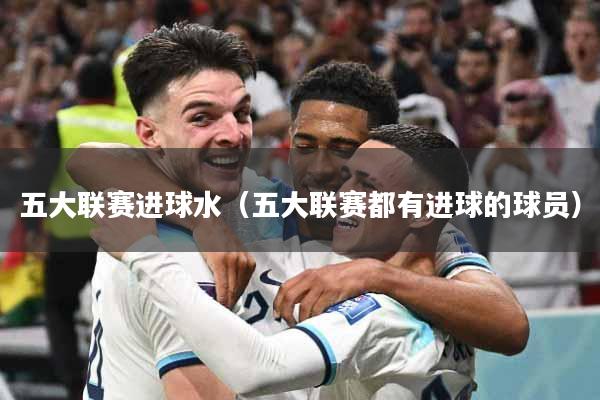 五大联赛进球水(五大联赛都有进球的球员)