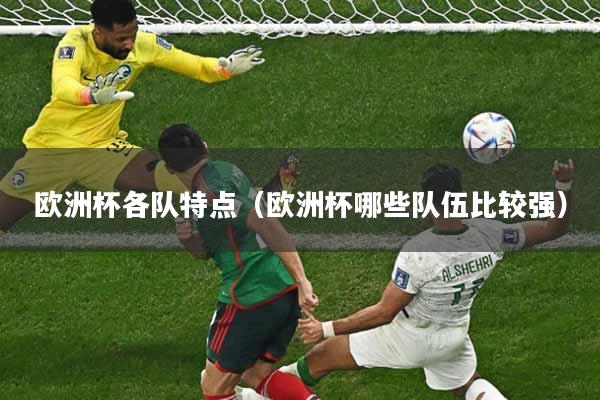欧洲杯各队特点（欧洲杯哪些队伍比较强）