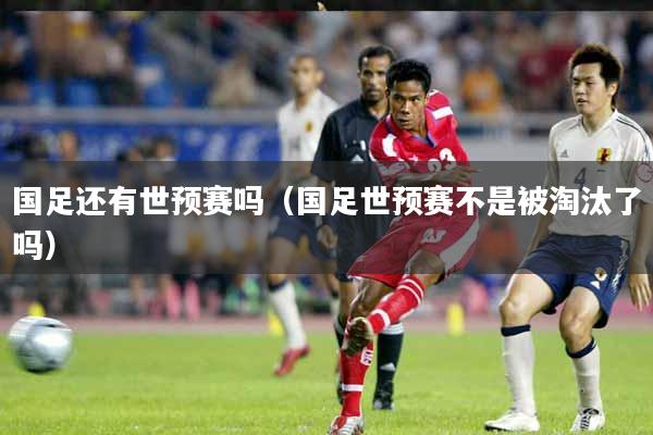 国足还有世预赛吗(国足世预赛不是被淘汰了吗)