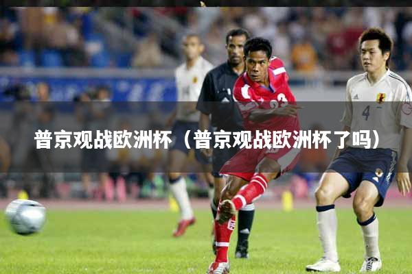 普京观战欧洲杯（普京观战欧洲杯了吗）