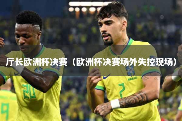 厅长欧洲杯决赛(欧洲杯决赛场外失控现场)